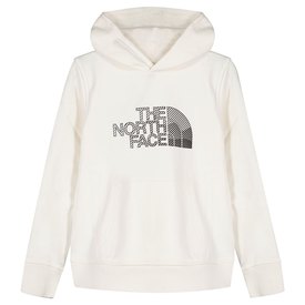 The north face Biner Graphic Hoodie