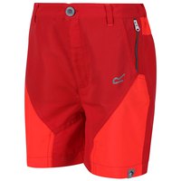 regatta-sorcer-mountain-shorts-sht-pants