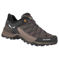 Salewa Chaussures de randonnée MTN Trainer Lite Goretex