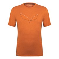 salewa-pure-eagle-frame-dry-short-sleeve-t-shirt