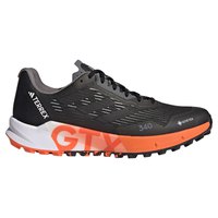 adidas Chaussures de trail running Terrex Agravic Flow 2 Goretex