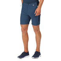 regatta-mountain-ii-shorts