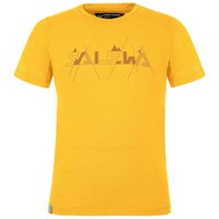 salewa-graphic-dry-kurzarmeliges-t-shirt
