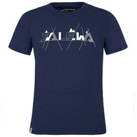 salewa-t-shirt-a-manches-courtes-graphic-dry