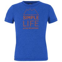 salewa-t-shirt-a-manches-courtes-simple-life-dry