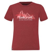 salewa-simple-life-dry-t-shirt-met-korte-mouwen