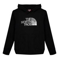 the-north-face-biner-graphic-hoodie