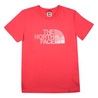 the-north-face-biner-graphic-1-t-shirt-met-korte-mouwen