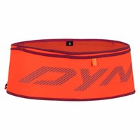 dynafit-running-belt