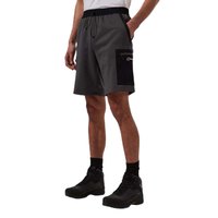 Berghaus Reacon shorts