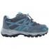 The north face Hedgehog Hiker Wp Hiking Shoes